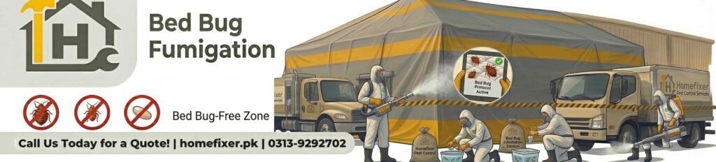Best Fumigations Services in DHA Karachi | Expert Pest Control 6 Bed Bug Fumigation