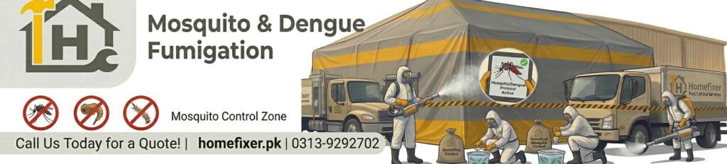 Best Fumigations Services in DHA Karachi | Expert Pest Control 5 Mosquito & Dengue Fumigation