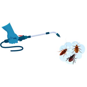 Cockroach Treatment Services